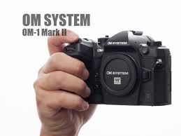 OM SYSTEM OM-1 Mark II 手振れ補正とバッファの性能を確認する - とる ...